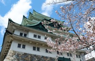 CENTRAL JAPAN 10 DAYS 8 NIGHTS TOUR (2023-2024)
