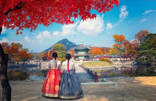 韓國、濟州島全覽12天 (2024~2025)